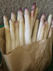 LA SAISON DES ASPERGES